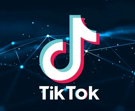 利用TikTok广告实现企业成功的策略(图1)
